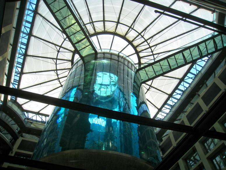 Akvariet AquaDom i SeaLife Berlin, akvariet du kan ka hiss genom.