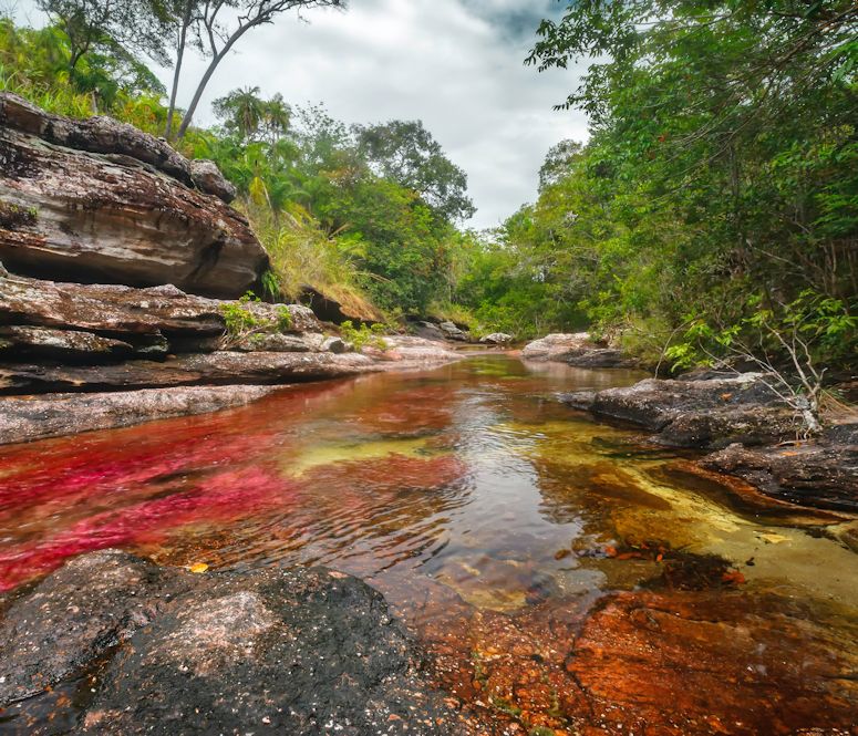 Vrldens kanske vackraste flod - den regnbgsfrgade Cao Cristales i Colombia.