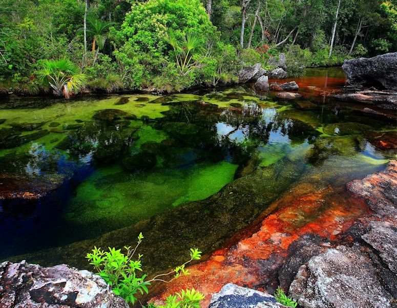 Vrldens kanske vackraste flod - den regnbgsfrgade Cao Cristales i Colombia.
