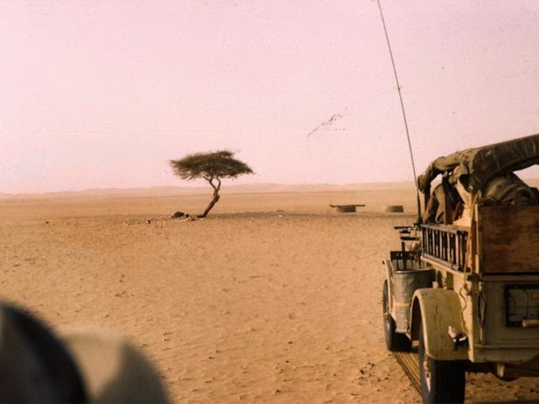 Vrldens ensammaste trd - Arbre du Tnr i Saharaknen.