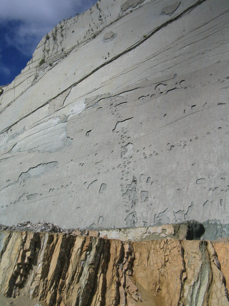 Fossila dinosauriespr p stenvgg i dagbrott i Cal Orcko i Bolivia