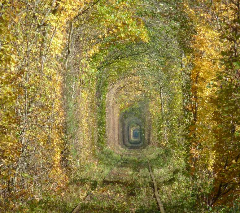 Tunnel of Love i Ukraina - en vacker tgtunnel omgiven av lv.