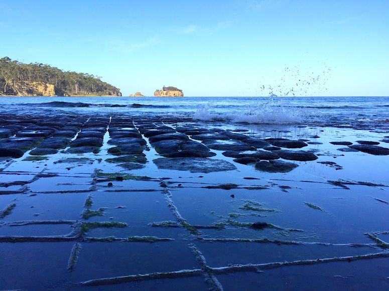 Tesselerad (rutig, mosaik) strand p Tasmanien.