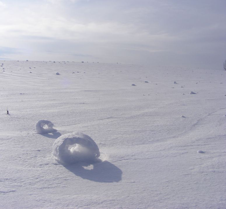 Snow roller - snboll som vinden kan rulla sjlv.