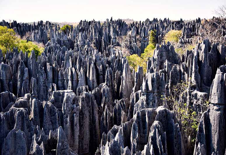 Tsingy de Bemaraha p Madagaskar