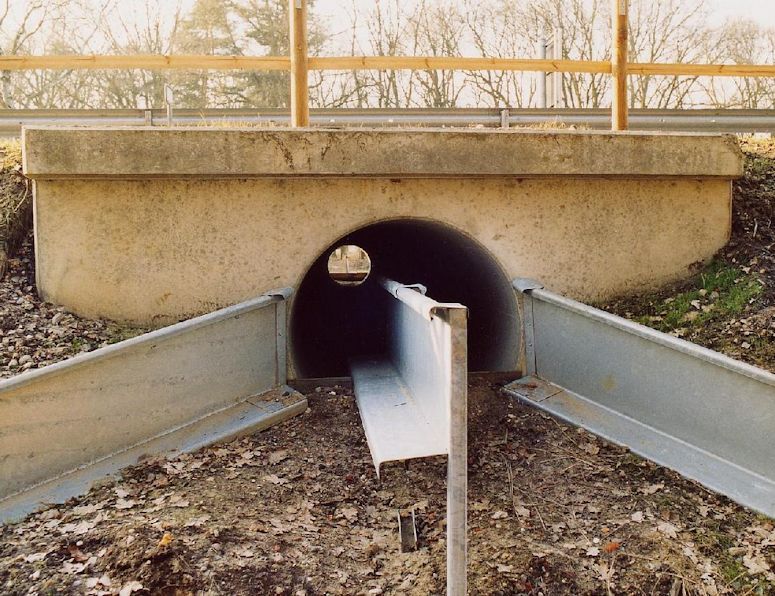 En tunnel under vg fr paddor och andra djur i Tyskland.