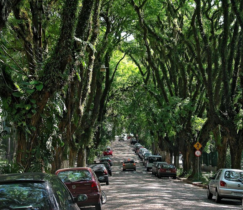 Rua Gonalo de Carvalho i den brasilianska staden Porto Alegre kallas ibland vrldens vackraste gata.